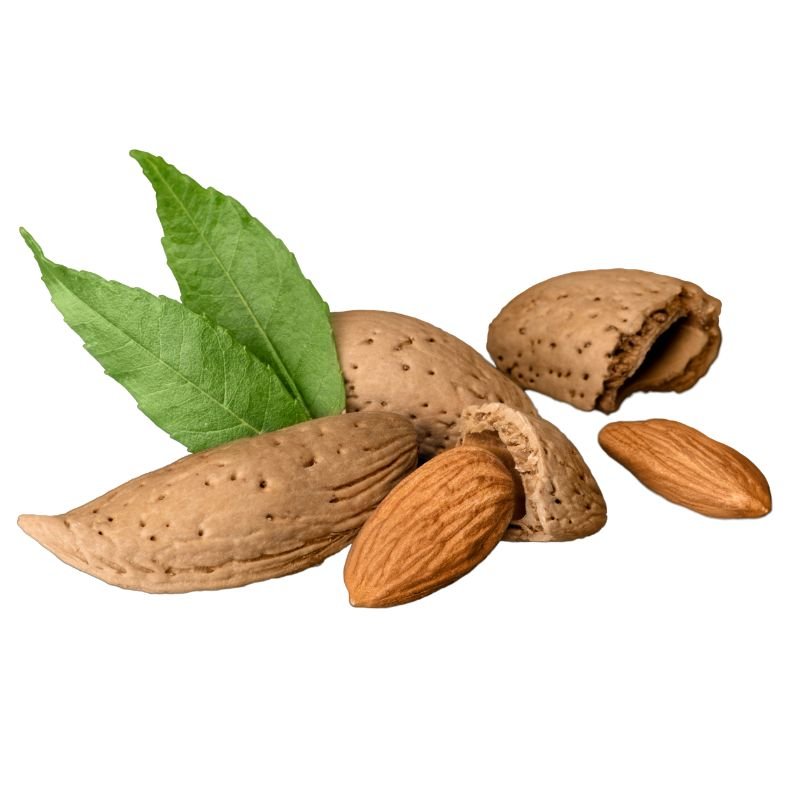 Sweet Almond Oil