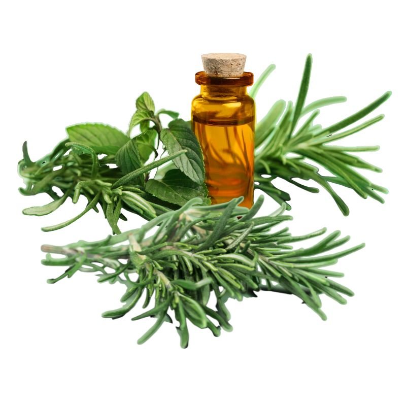 Rosemary Oil