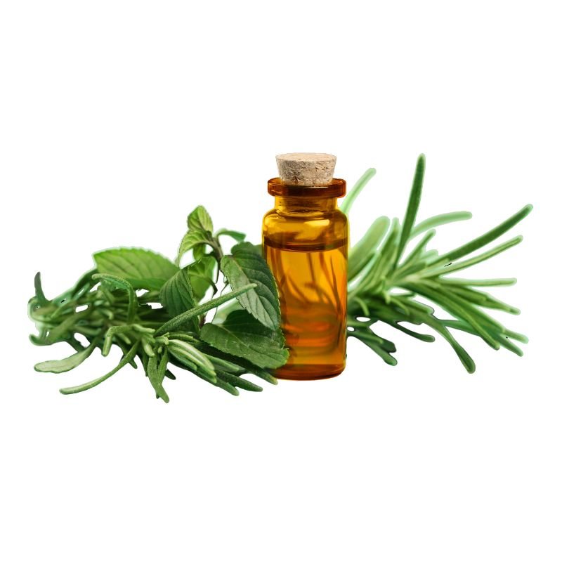 Tea Tree Oil