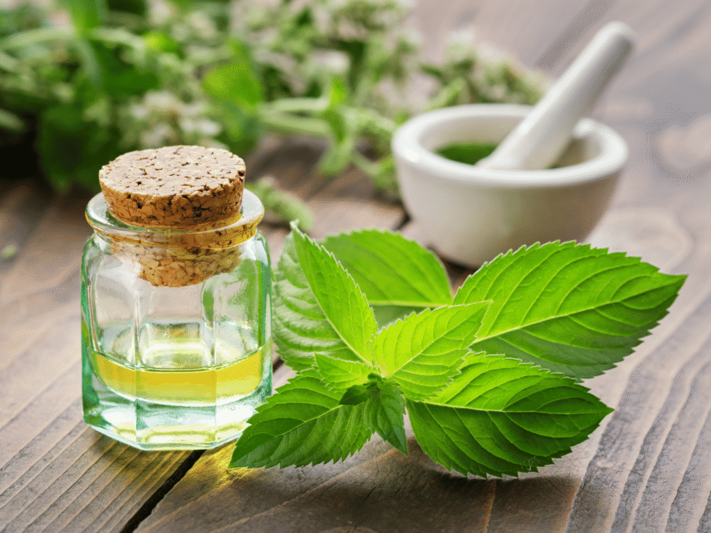 Peppermint Essential Oil